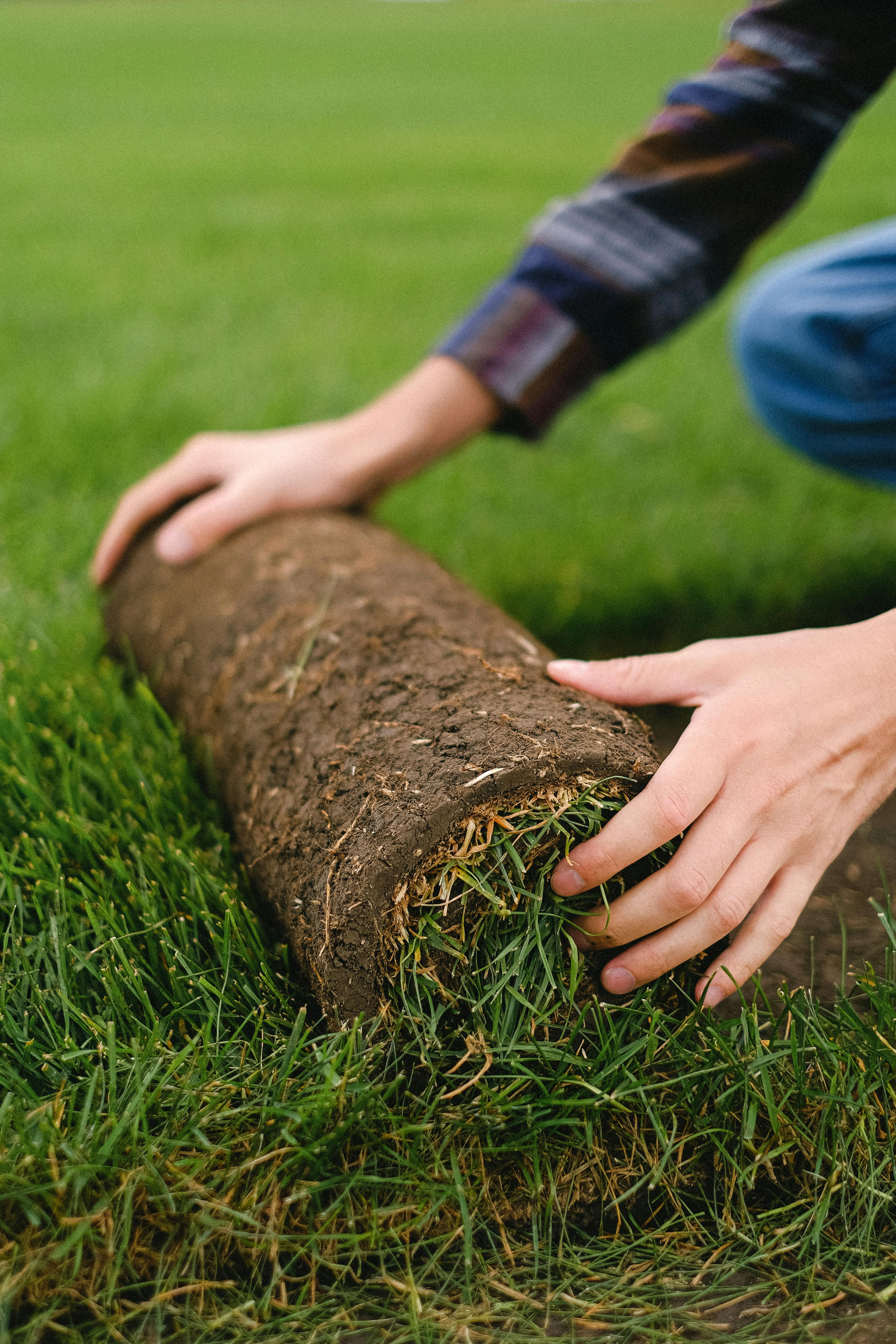 Skibo Services expert installing sod for lush, green lawns with meticulous care and expertise.