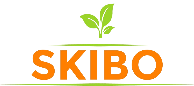 Distinctive logo representing Skibo Services for the best landscaping and painting services.